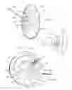 Fig. 07 - Voice absorber for portable telephonic devices