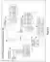 Fig. 08 - Random wave envelope derived random numbers and their use in generating transient keys in communication security applications part II