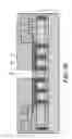 Fig. 12 - Microphone with reduced parasitic capacitance