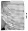 Fig. 29 - Blemish removal