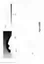 Fig. 37 - Blemish removal