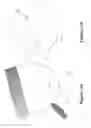 Fig. 38 - Blemish removal