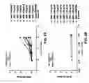 Fig. 03 - Antibodies against anthrax protective antigen