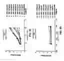Fig. 04 - Antibodies against anthrax protective antigen