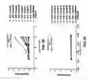 Fig. 05 - Antibodies against anthrax protective antigen