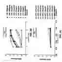 Fig. 06 - Antibodies against anthrax protective antigen