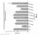 Fig. 07 - Antibodies against anthrax protective antigen