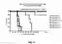 Fig. 15 - Antibodies against anthrax protective antigen