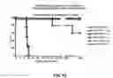 Fig. 16 - Antibodies against anthrax protective antigen