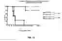 Fig. 17 - Antibodies against anthrax protective antigen