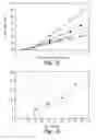 Fig. 14 - Inhibition of metallo-β-lactamase