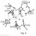 Fig. 05 - Crystal structure of soluble glutaminyl cyclase