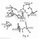Fig. 06 - Crystal structure of soluble glutaminyl cyclase