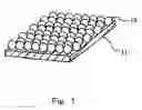 Fig. 02 - Method of two-dimensionally arraying ferritin on substrate