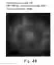 Fig. 49 - Method of two-dimensionally arraying ferritin on substrate