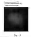 Fig. 71 - Method of two-dimensionally arraying ferritin on substrate
