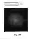 Fig. 85 - Method of two-dimensionally arraying ferritin on substrate