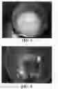 Fig. 02 - Sand aggregating reagents, modified sands, and methods for making and using same