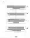 Fig. 07 - Scalar Processor Instruction Level Parallelism (ILP) Coupled Pair Morph Mechanism