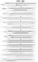 Fig. 32 - ACCELERATED TWO-PHASE SURGICAL PROCEDURE FOR CREATING A PNEUMOSTOMA TO TREAT CHRONIC OBSTRUCTIVE PULMONARY DISEASE