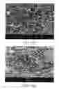 Fig. 03 - Method for modifying surface of titanium or titanium alloy by fluidized bed carburization