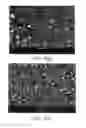 Fig. 05 - Method for modifying surface of titanium or titanium alloy by fluidized bed carburization