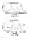 Fig. 22 - Cross-linked fatty acid-based biomaterials