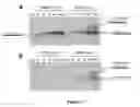 Fig. 09 - Compositions of asymmetric interfering RNA and uses thereof