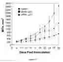 Fig. 25 - Compositions of asymmetric interfering RNA and uses thereof