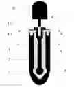 Fig. 01 - Dental implant