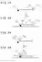 Fig. 02 - FLUORESCENCE-LABELED OLIGONUCLEOTIDE TO DETECT NUCLEIC ACID AND METHOD FOR ACQUIRING INFORMATION ABOUT DOUBLE-STRAND FORMATION BY USING FLUORESCENCE-LABELED OLIGONUCLEOTIDE TO DETECT NUCLEIC ACID