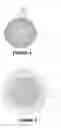 Fig. 04 - Golf ball