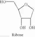 Fig. 09 - Azacytidine analogues and uses thereof