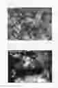 Fig. 03 - Heteropolyacid salt catalyst, process for producing heteropolyacid salt catalyst and process for producing alkyl aromatic compound