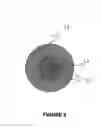 Fig. 03 - Apparatus and method for preventing glaucomatous optic neuropathy
