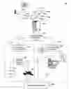 Fig. 01 - Method and system for providing electronic customs form