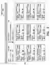 Fig. 04 - TICKET APPROVAL SYSTEM FOR AND METHOD OF PERFORMING QUALITY CONTROL IN FIELD SERVICE APPLICATIONS
