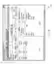 Fig. 08 - METHOD AND APPARATUS FOR PRESENTING, SEARCHING, AND VIEWING DIRECTORIES