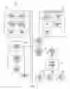 Fig. 02 - CONTENT REALIZATION ENGINES