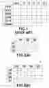 Fig. 02 - Apparatus and method for managing programs in a digital television