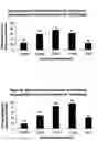 Fig. 04 - METHOD FOR PRODUCTION OF SAPONARIA FROM MICROSPORES