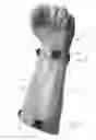 Fig. 03 - Protective metal-ring mesh glove