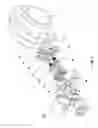 Fig. 02 - Stabilized connector