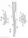 Fig. 49 - Integral spine structure for footwear