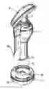 Fig. 01 - Device for treating a fruit