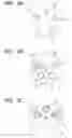 Fig. 08 - Sputtering apparatus and method for controlling the same