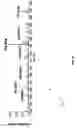 Fig. 07 - Method of improving signal-to-noise for quantitation by mass spectrometry