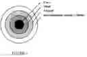 Fig. 02 - Semiconductor nanoparticle capping agents