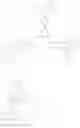 Fig. 23 - PRINTING
