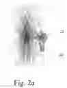 Fig. 09 - Solid-state luminescent filament lamps
